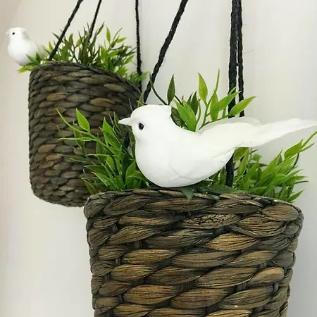 Sorelle Casa بيت للعطل