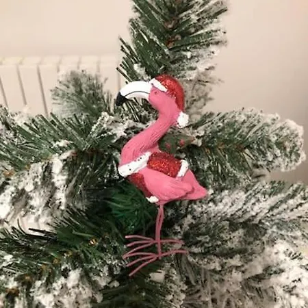 Sorelle Casa بيت للعطل