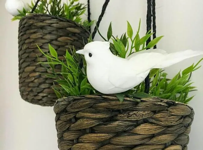 Sorelle Casa بيت للعطل