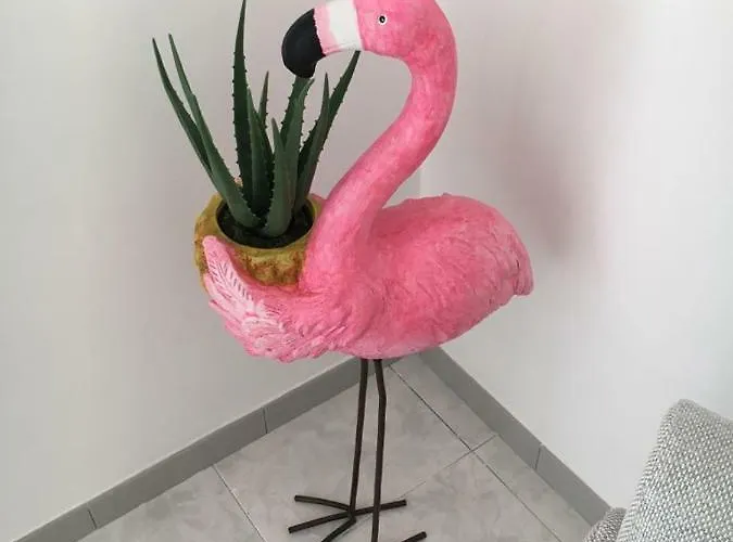 Sorelle Casa بيت للعطل