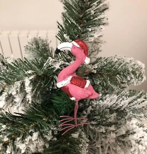 Sorelle Casa بيت للعطل